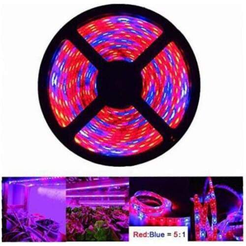 5M LED Strip Ligh 12V LED Plant Grow Strip Light Waterproof Full Spectrum LED String Light For Vegetable Flower Cultivating