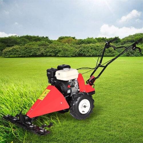 LISM Self-propelled Lawn Mowers