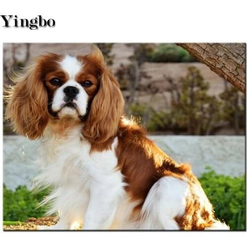 Full Square Round Diamond Painting Cavalier King Charles Spaniel Dog Diamond Embroidery Mosaic Pictures Of Rhinestones icons