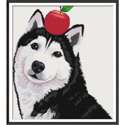 Dreampattern Kits For Embroidery With Beads