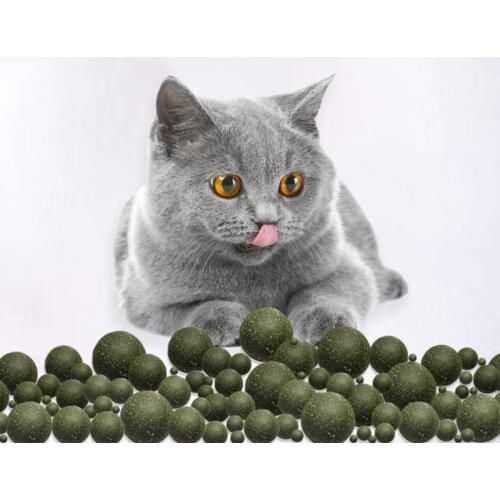 Pet Catnip Toys Edible Catnip Ball Safety Healthy Cat Mint Cats Home Chasing Game Toy Products Clean Teeth The Stomach