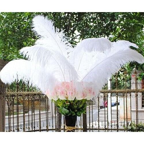 Wholesale 50pcs High quality natural white selection ostrich feathers 6-24inch/15-60cm diy Decoration stage performance