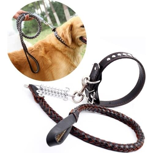 Dog Leash Adjustable Wear Resistant Pet Leash Dog Training Leash Dog Supplies with Dog Collar