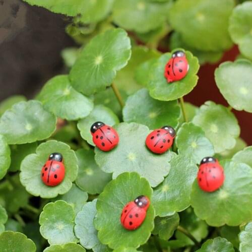 20 Pcs Artificial Ladybird for Miniature Plant Dollhouse Decoration for Potting plant
