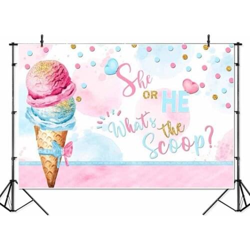 Ice Cream Gender Reveal Backdrop What’s The Scoop Photography Background Vinyl He or She Ice Cream Party Banner Backdrops