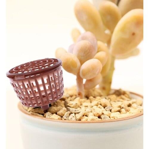 Nursery Pot 10Pcs Bonsai Tool Fertilizer Cover Basket Box Plant Bug Portable