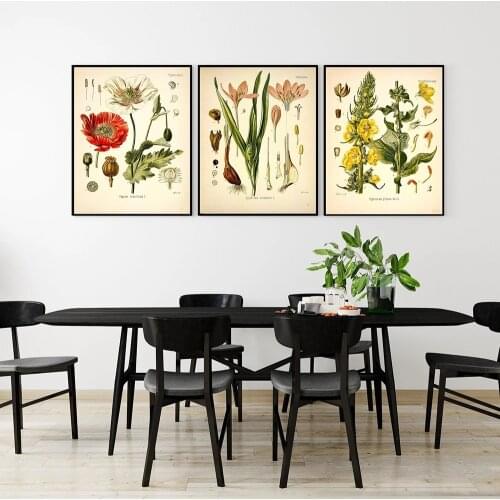 Vintage Poster Botanical Prints Meadow Flower Painting Posters French Plant Illustrations Wall Art Prints Picture Poster Decor