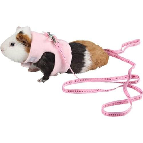 4 Colors 2 Size Cotton Small Pet Leashes Squirrel Guinea Pig Rabbit Mink Outdoor Walking Traction Rope Button Harnesses Belt