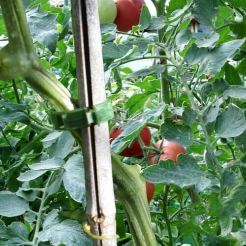 HGHO 200 PCS Garden Plant Support Clips Tomato Clips Trellis Clips for Cucumber Flower Squash Vine 1 inch Inner Diameter