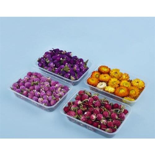DIY Dried Flower UV Epoxy Resin Filling Real Flower For Home Decoration Handicraft Resin Crafts