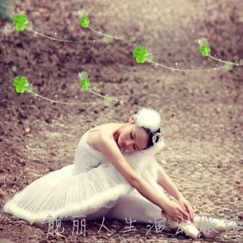 Ballet dress Adult ballet veil costumes swan dance skirt feather Noble Ballet Tutu Adult Professional Swan Lake Dancewear