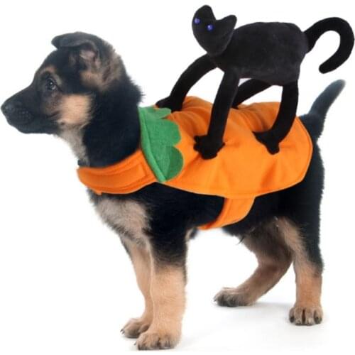 Pet Halloween Little Black Cat Transformation Dress Image Design Funny Cat Dog Clothes Chihuahua French Bulldog Cosplay Clothing