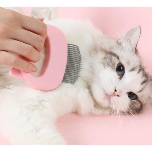 Pet Massage Brush Shell Shaped Handle Pet Grooming Massage Tool To Remove Loose Hairs Only For Cats New