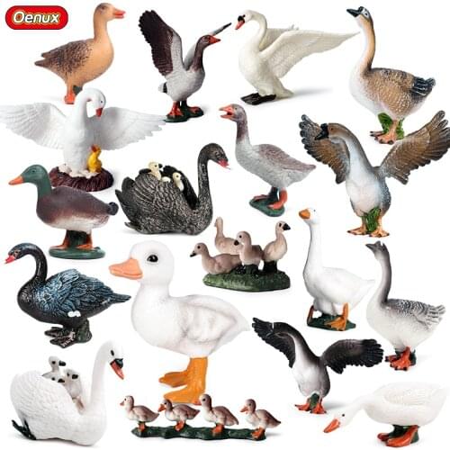 Oenux Farm Model Simulation Swan Goose Gaggle Duck Flock Action Figures Poultry Animals Figurine PVC Miniature Lovely Kids Toy