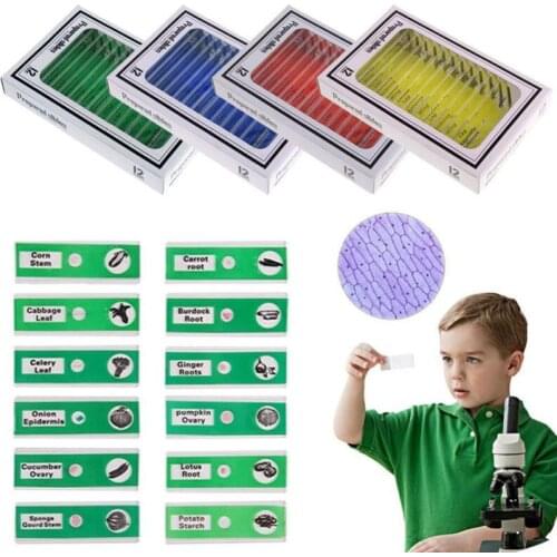 12/48Pcs/Set Prepared Microscope Slides Specimen Animals Insects Plants Flowers Sample