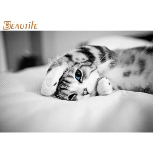 Hot Sale Custom Cat Poster Home Decoration Fashion Silk Fabric Wall Poster Custom Poster