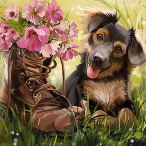 Cat And Dog 40x50CM Animal DIY Drawing Painting by Numbers Lage Size Picture on Wall Decoration Children Gift 40x50 50x65cm