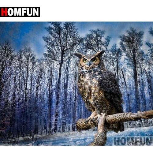 HOMFUN Full Square/Round Drill 5D DIY Diamond Painting "Animal owl" 3D Diamond Embroidery Cross Stitch Home Decor A20201