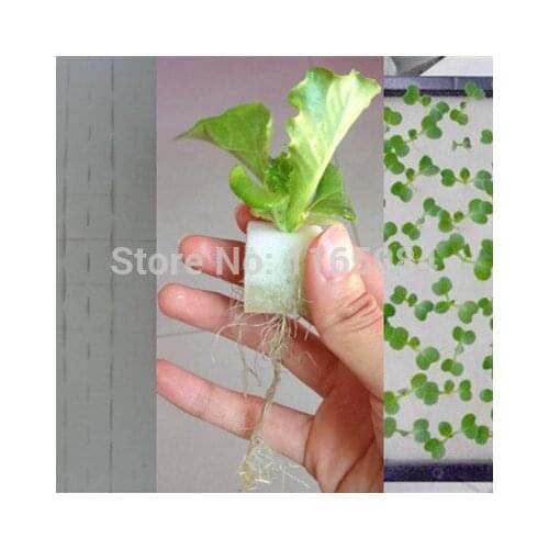 Garden supplies hydroponic seeds vegetables foam cubes pot for starting seed for hydroponics system2.3*2.3 (117PCS/lot)