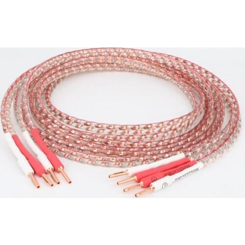 High Quality 2020 Pair VP903 Flat Copper Speaker Audiophile Cable HIFI SPeaker Cable With Pure Copper Plug for Home Theater