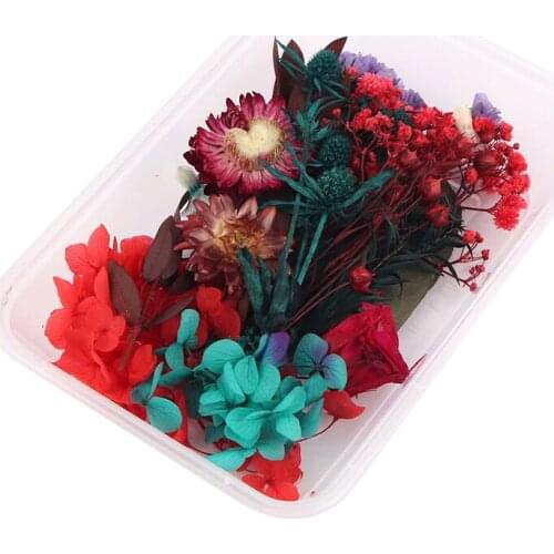 Dried Flowers Diy Photo Frame Making Dried Flower Materials Handmade Greeting Card Soap Candle Jewelry Small Bouquet Epoxy Craft