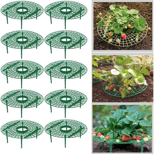 5/10 Pack Strawberry Supports Keeping Plant Fruit Stand Vegetable Growing Rack Garden Tools for Protecting Vines Avoid Ground