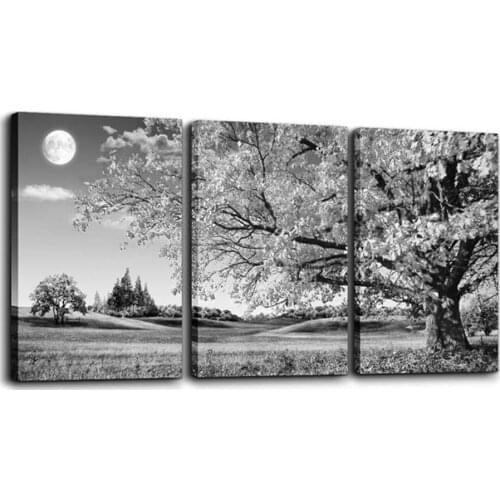 5D DIY Diamond painting 3pcs Autumn landscape black and white trees Diamond embroidery cross stitch kits Diamond mosaic art