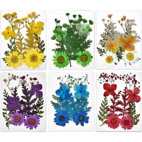 10pcs/Pack Pressed Dried Flowers Resin Filling For Epoxy Resin Craft Making Scrapbooking DIY Preserved Flower Home Decoration
