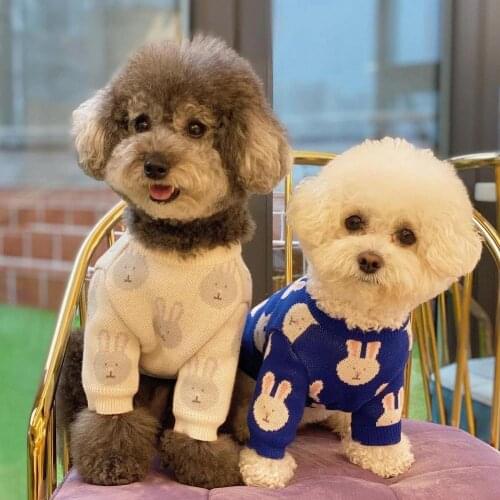 INS new Korean cute blue and white rabbit autumn and winter warm small dogs dog sweater pet warm core yarn sweater