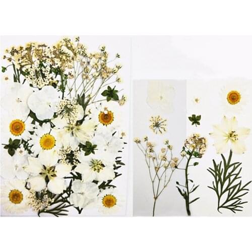 Dried Flowers White Flower Field Series Facial Aromatherapy Candle Pendant DIY Art Decorations Accessories