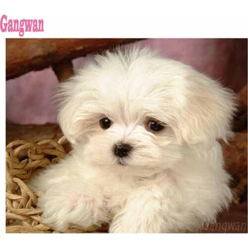 5D cute pet Diamond Painting maltese dog Diamond Embroidery Cross Stitch crystal puppy Picture by number mosaic decoration