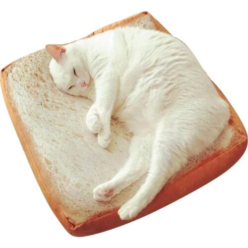 Microblogging with the paragraph cute real life toast bread slices cushions, cat special bread-type cushion cartoon around