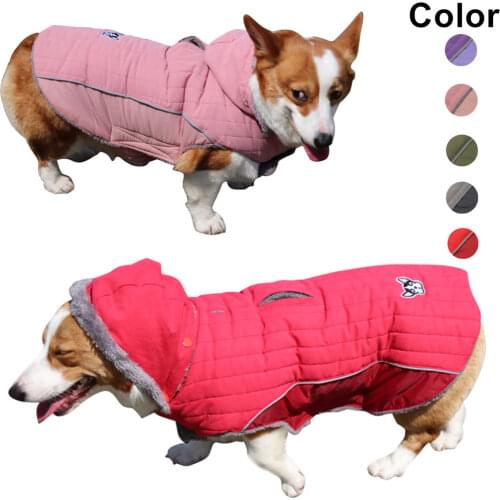 Removable Cap Warm Two Feet Pet Clothes for Autumn and Winter Large Size Dog Clothes Xs-3xl Plus Sizes Thickened Dog Coats