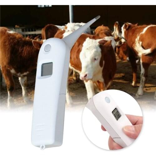 Pet Veterinary Thermometer Animal Electronic Thermometer Digital LCD Display Thermometer Auto Turn Off for Dog Cat Horse Pig