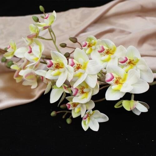 1 Stem 21 Head Real Touch Latex Artificial Moth Orchid Artificial Flowers For Wedding Home Festival Decoration Butterfly Orchid