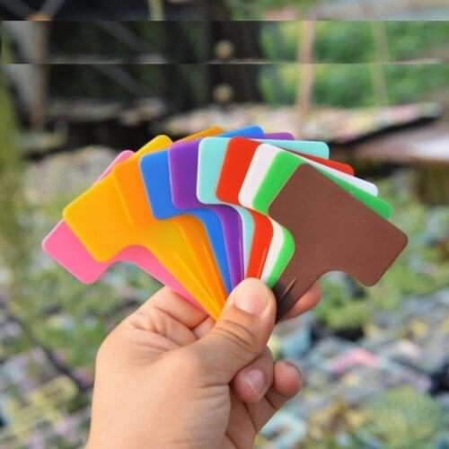 5000PCS Cheap 6*10cm Plastic Plant T Type Tags Markers Nursery Garden Labels Stick Sign Flowers Vegetables Plantings Label Tools