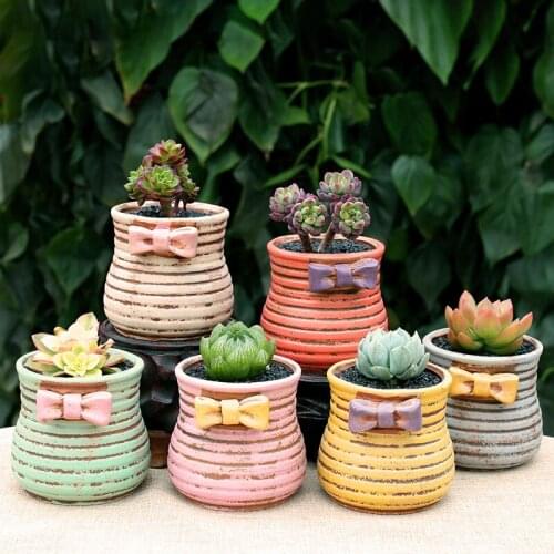Korean Ins Lovely Bow Round Ceramic Flowerpot Creative Mini Green Plant Thumb Potted Indoor Home Balcony Creative Gardening