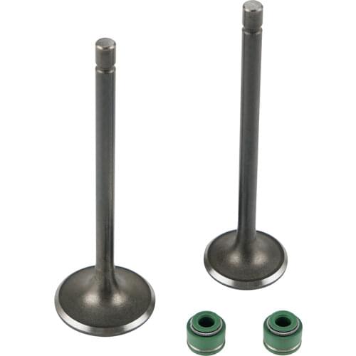 NICECNC Valves Intake Exhaust FOR ATC185 ATC200X ATC200 ATC 185 200X 200 E ES M S X Alloy steel