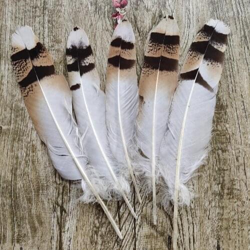 Wholesale Hot 5 pcs Pretty Natural Pheasant Feathers 18-25 cm Diy jewelry Wedding decorative accessories