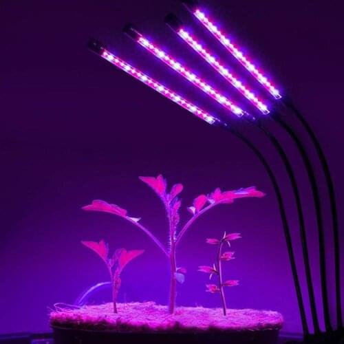 High Brightness Plant Lamp Light Strip Flower Vegetables 40W USB 3H/9H/12H Indoor Hydroponic Lighting Plants Growth Light