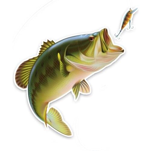 Personality Car Sticker Fun Cartoon Big Fish Eats Small Fish PVC Decal Reflective Sunscreen Waterproof 13CM*13CM