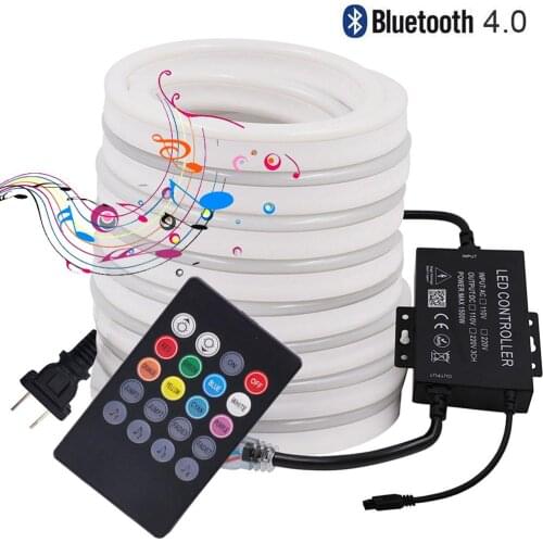 Bluetooth RGB Neon Light 220V 110V 5050 Outdoor Waterproof Led Strip Neon Sign Light 120LEDs/m Flexible Ribbon Music Remote