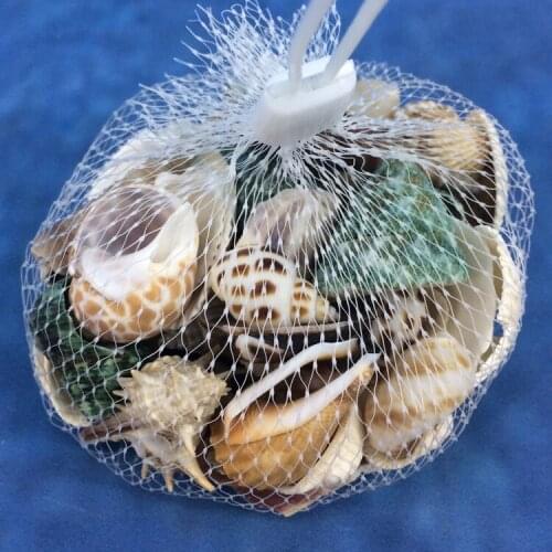 HappyKiss Shell decoration wall background wall child real