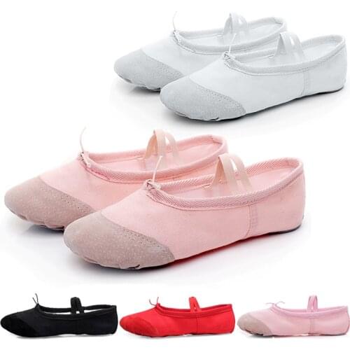 Hui BaiLe Dance Shoes