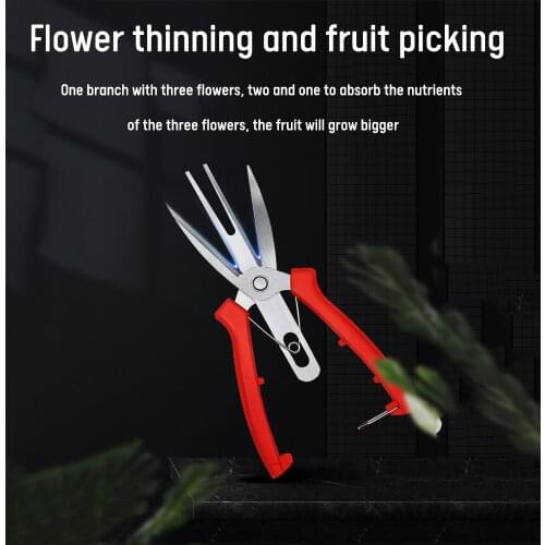 Household Double-edged Fruit Picking Scissors Dual-purpose Thinning Flowers Scissors and Picking Fruits Manual Trimming Tool