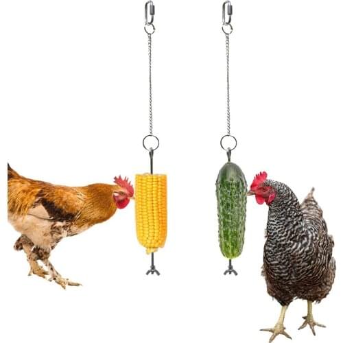 Pet Parrot Stainless Steel Feeder Fruit Corn Fork Toys Chicken Vegetables Holder Hanging Feeding Stick Feeder Accessories