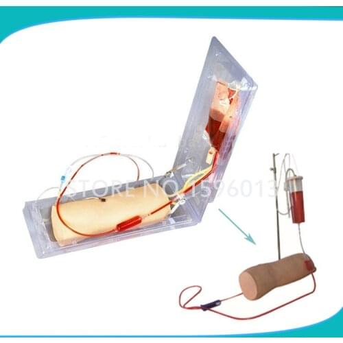 Vivid IV Elbow Training Model, Elbow Venipuncture,Intravenous Infusion and Transfusion Training Model