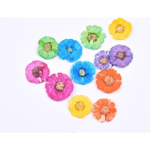 24pcs,Pressed Little Daisy Eternal flower,Nature Real Flower DIY Wedding invitations Craft Bookmark Gift Cards,Nail/Facial deor