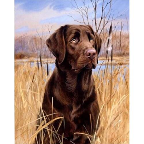Painting By Numbers DIY Dropshipping 50x65cm Labrador dog in the grass Animal Handmade For Living Room Wall Decor Oil Painting