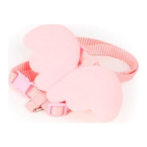 Angel wings cat with a pink Leash